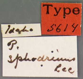 Media type: image;   Entomology 5614 Aspect: labels